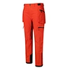 3 layer ski pant